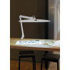 Lampe LED de Bureau MAUL Work