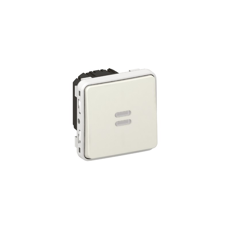 Interrupteur Temporisé Lumineux LEGRAND Plexo Interrupteur Temporisé Lumineux LEGRAND Plexo