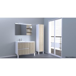 Meuble Colonne Coiffeuse de Salle de Bain ALTERNA Plénitude 1 Porte 40cm Blanc Bois