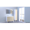 Meuble Colonne Coiffeuse de Salle de Bain ALTERNA Plénitude 1 Porte