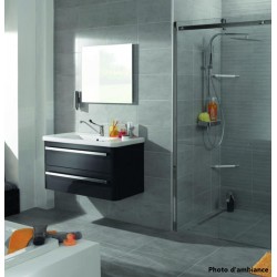 Meuble de Salle de Bain Plan Vasque ALTERNA Everyday