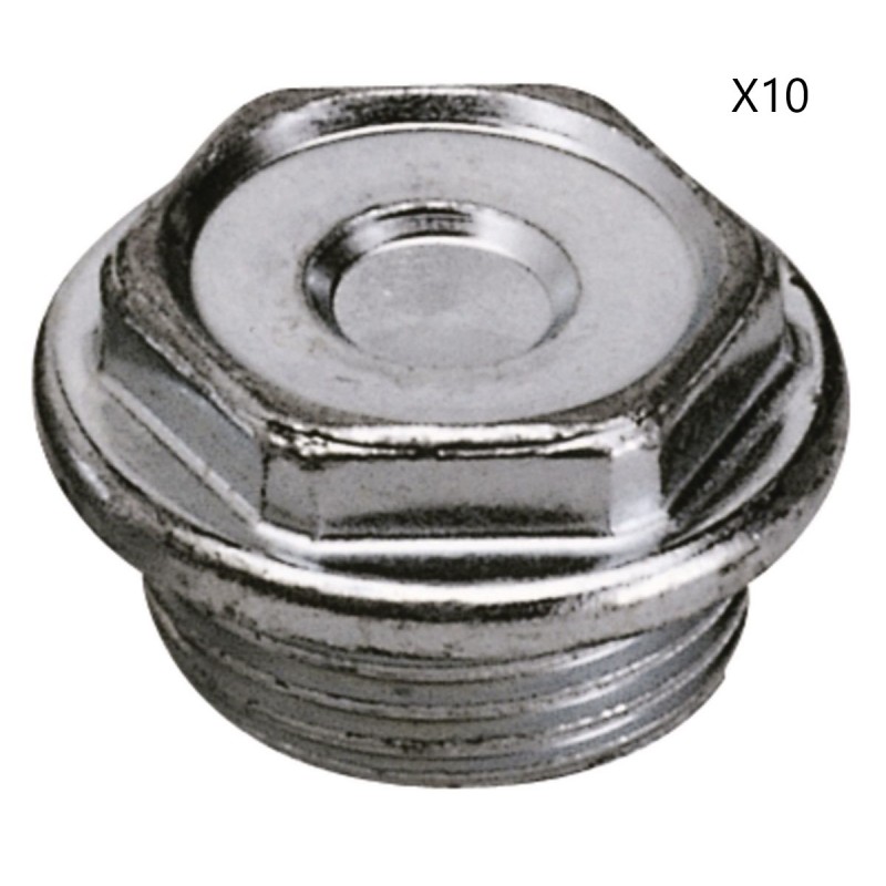 Lot de 10 Bouchons Acier Pleins Zingué Droit DECORAL Lot de 10 Bouchons Acier Pleins Zingué Droit DECORAL