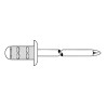 250 Rivets Aveugles Multi-usages GESIPA