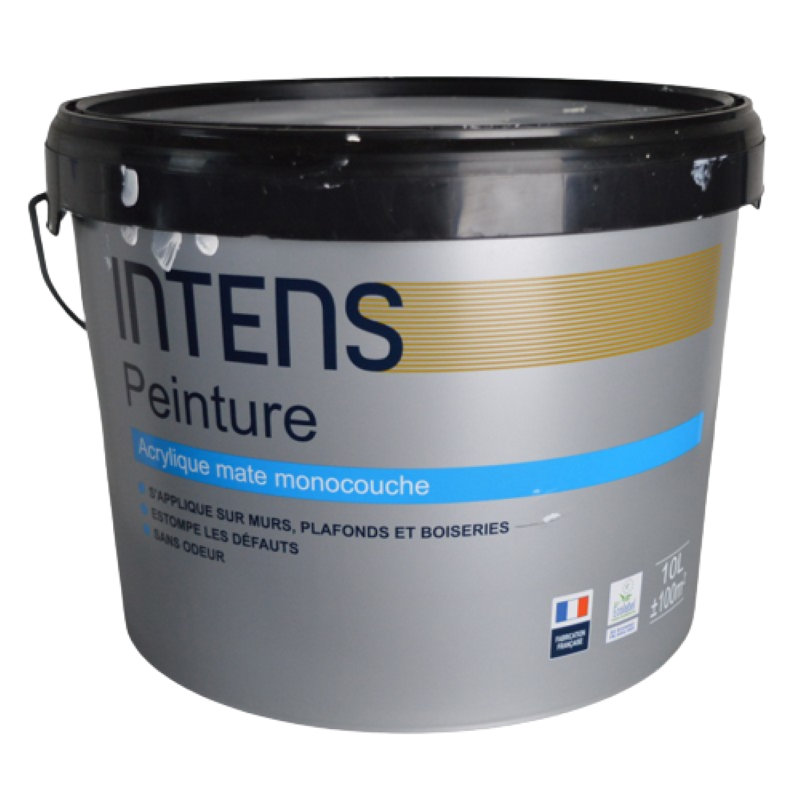 INTENS - Pot de 10L de Peinture Acrylique Blanc Mat Monocouche