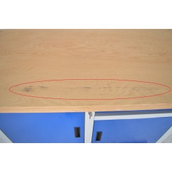 Etabli d'Atelier METEC 2 Placards et 1 Tiroir Pas Cher