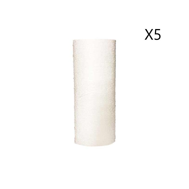 Lot de 5 Cartouches de Filtration Anti-Impuretés Compressée 7" 3/4 Extrudé 50µ Lot de 5 Cartouches de Filtration Anti-Impuretés Compressée 7" 3/4 Extrudé 50µ