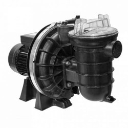Pompe de Filtration de Piscine PENTAIR 0,75CV