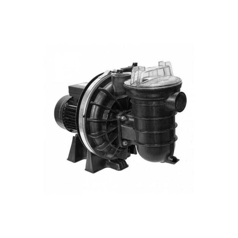 Pompe de Filtration de Piscine PENTAIR 0,75CV Pompe de Filtration de Piscine PENTAIR 0,75CV