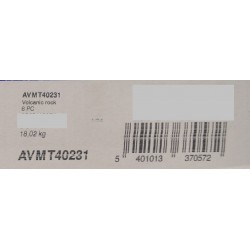 AVMT 40231