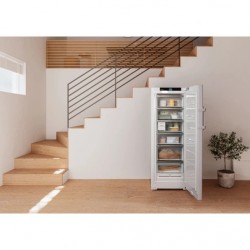 Congélateur Armoire