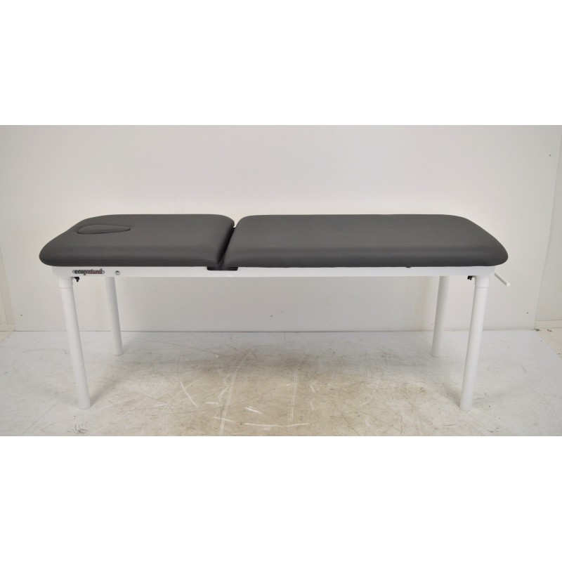 Divan d'Examen et Massage Fixe ECOPOSTURAL Anthracite 62x188cm Divan d'Examen et Massage Fixe ECOPOSTURAL Anthracite 62x188cm