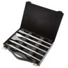 Mallette 5 Pics et Burins en Acier DIAGER pour Perforateur SDS-Plus