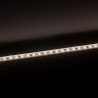 Ruban LED 10m EUROPOLE Pack Long Flex 5-10W 4000K