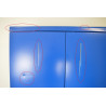 Armoire d'Atelier CARAY Portes Battantes avec 2 Etagères 200x40x100cm Bleu pas cher