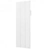 Radiateur Électrique à Inertie Fonte 1500 W THERMOR Kenya 3