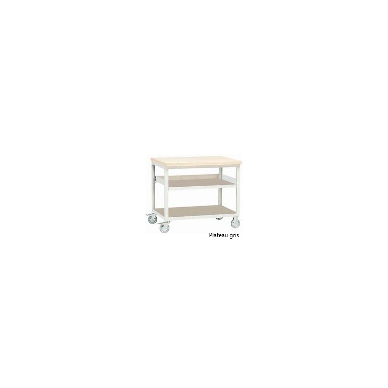 Desserte D'Atelier Mobile KIND FRANCE Modul 2 Tablettes Largeur 100 cm Charge 250 Kg - A044211