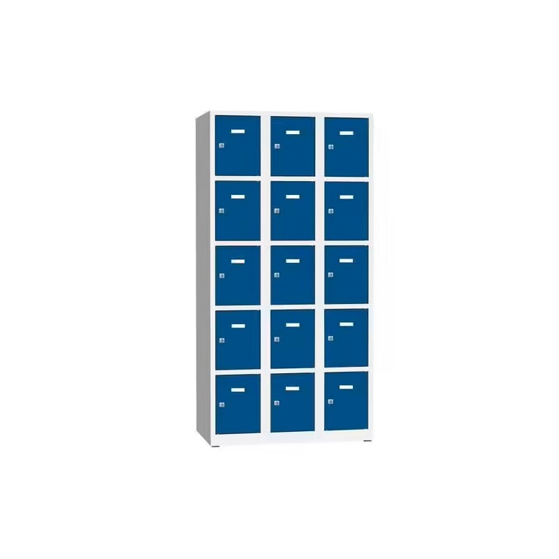 Vestiaire Multicases 15 Casiers Monobloc Philip Fermeture à Clef 90x180x50cm Gris et Bleu - A843424
