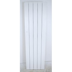 Radiateur Electrique Bloc Fonte 2000W INTUIS Beladoo