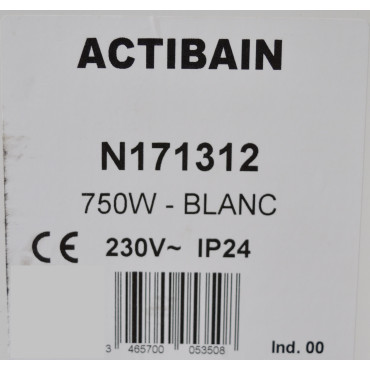N171312