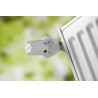 Tête Thermostatique DANFOSS pour Radiateur - RAW5014