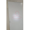 Armoire Électrique au Sol Acier SCHNEIDER Spacial SFN 1 Porte pas cher