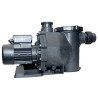 Pompe de Filtration Piscine EVERBLUE Everpompe PERFECTO 1.5CV Vitesse Variable Triphasé + Boîtier de Commande - EVP0420