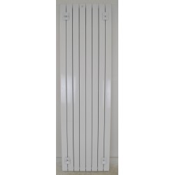Radiateur Acier Eau Chaude 1848W ACOVA Fassane Prem's