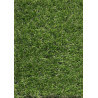 Gazon Synthétique SMARTGREEN Cap Vert