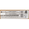 017.PVAA2020080B9