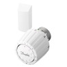 Tête Thermostatique DANFOSS avec Bulbe à Distance