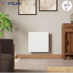 Radiateur Électrique à Inertie Fonte 1000W INTUIS Chamane Nativ