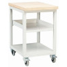 KIND A044190 - Établi Mobile 2 Tablettes sur Roulettes Capacité 250kg
