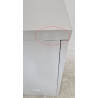 Armoire de Sécurité 70L TRIONYX 1Porte pas cher.