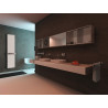 Sèche-Serviettes Eau Chaude 989W THERMOR Toscane