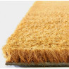 Tapis Brosse en Fibre Coco Naturel BTB