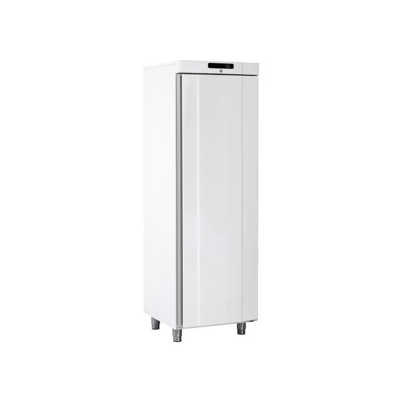 Armoire Réfrigérée Positive de Laboratoire 359L EBERHARDT Porte Pleine - R400GWR