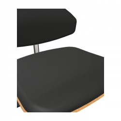 Siège Fauteuil de Bureau Laboratoire Pivotante