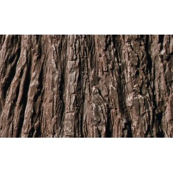 Récupérateur d'Eau de Pluie Tronc ARVÈS Evergreen Marron