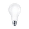 Lot de 4 Ampoules PHILIPS Led 120W A67 E27 - 929002371901