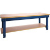 Etabli d'Atelier BRAKEL Plateau Multiplis et Pieds Ajustables Charge 1000kg