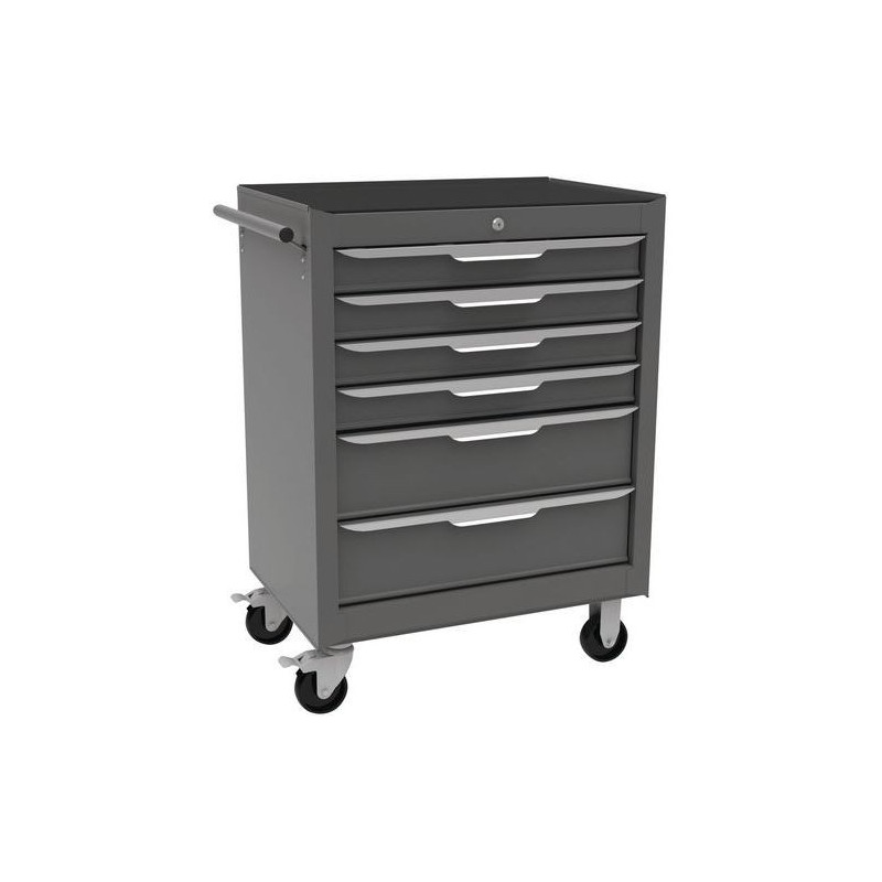 A149183 - Servante d'Atelier 6 Tiroirs en Acier Grise sur Roulettes