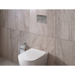 Plaque de Commande pour Toilette WC IDEAL STANDARD Oléas Double Flux Gris - R0503ZZ