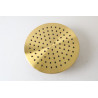 Tête de Douche BRAUER Gold Edition Ø20cm PVD Or Brossé  - 5-GG-016