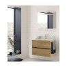 Meuble de Salle de Bain avec Plan Vasque SANIJURA
