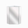 Armoire de Toilette d'Angle à Suspendre ALLIBERT Corsa Avec 1 Porte Miroir Blanc/Gris 31cm