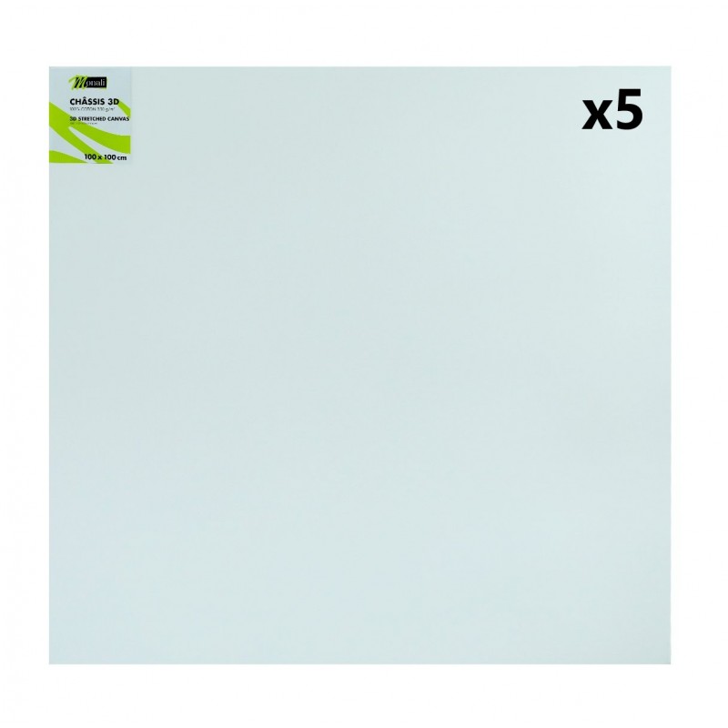 Lot de 5 Châssis Toiles 3D 100% Coton MONALI Grain Moyen pour Peinture 100x100cm - 3DM