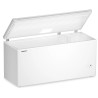 Congélateur Coffre 497L LIEBHERR SmartFrost StopFrost - CFe 2500-26