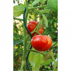 Clips Tuteur LA CORDELINE Pour Fixation Plantes Grimpantes, Attache Tomates