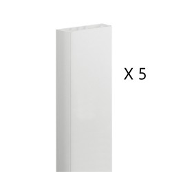 LEGRAND - Goulottes DLP Monobloc Longueur 2m 50x105mm - 010464