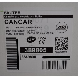 Chauffe-Eau Électrique 300L SAUTER Cangar Stéatite ACI Hybride 389805